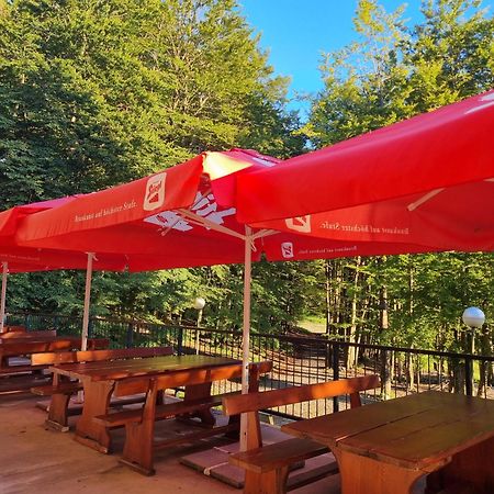 Great Mountain B&B Platak מראה חיצוני תמונה