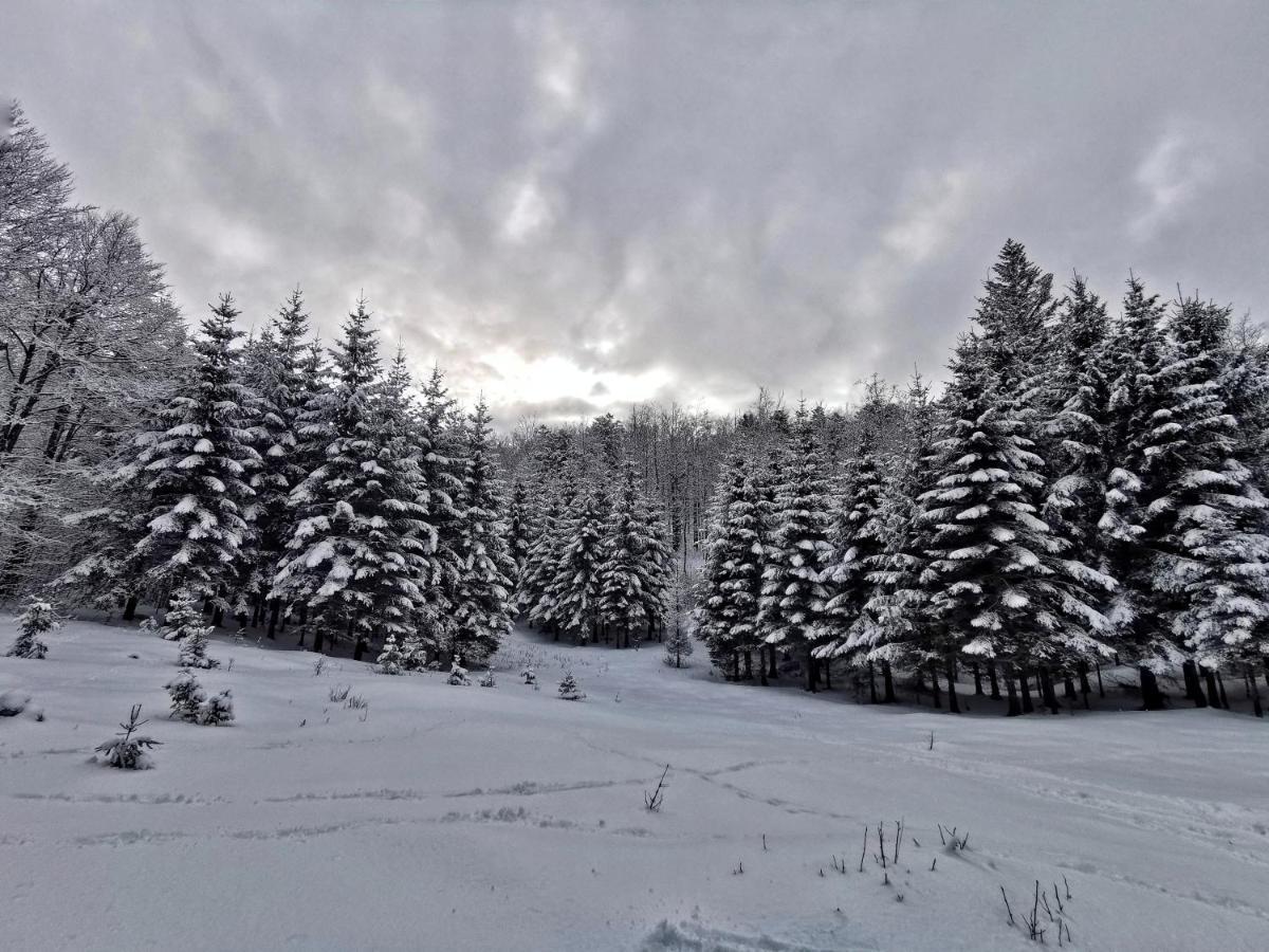 Great Mountain B&B Platak מראה חיצוני תמונה