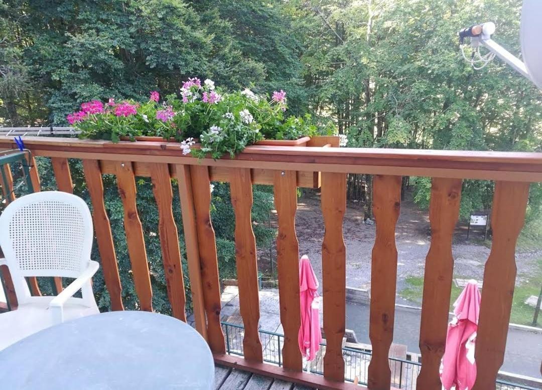 Great Mountain B&B Platak מראה חיצוני תמונה