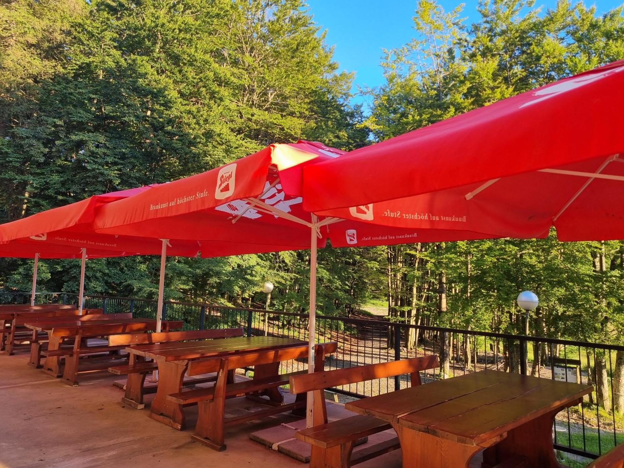 Great Mountain B&B Platak מראה חיצוני תמונה